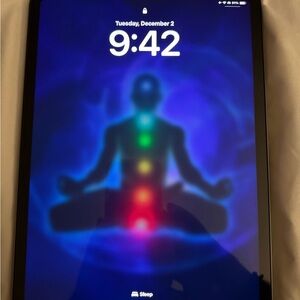 iPad Pro 11 Inch 4th Gen 256GB - WiFi & Cellular